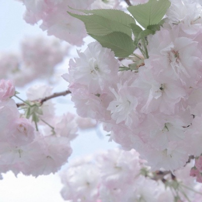 兽设家庭场景绘制兽圈社群